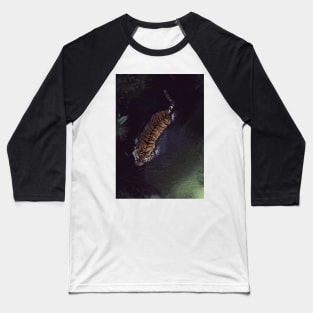 The Amur Tiger Baseball T-Shirt